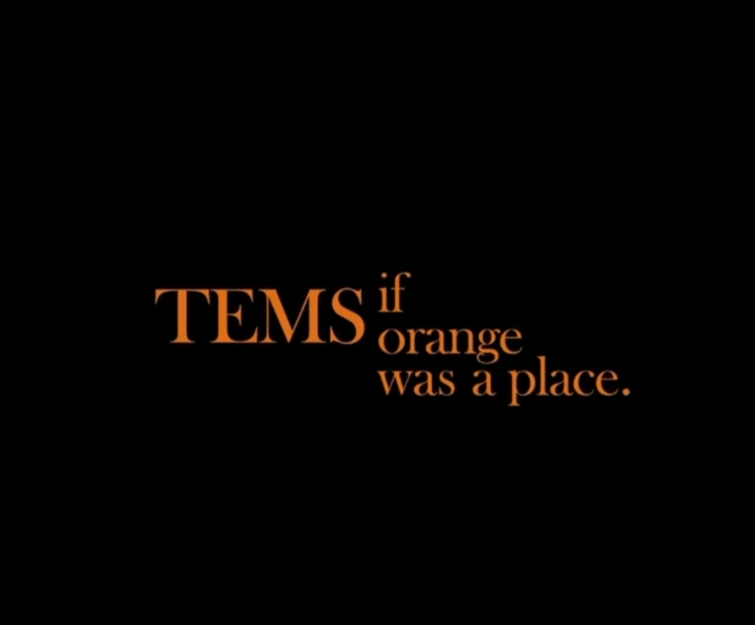 Tems if orange was a place review