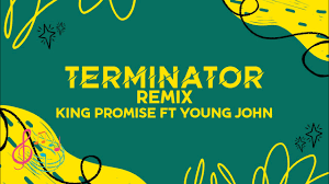 king promise ft Young jonn Terminator remix lyrics