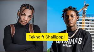 So what lyrics Tekno ft Shallipopi 