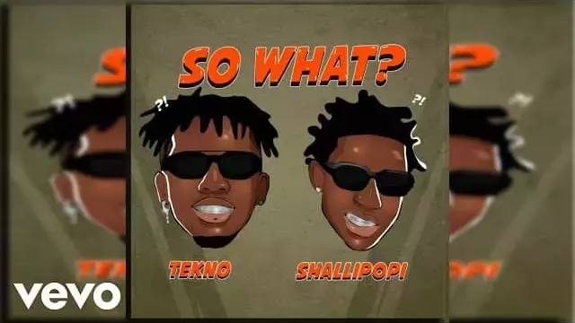 Tekno ft Shallipopi lyrics