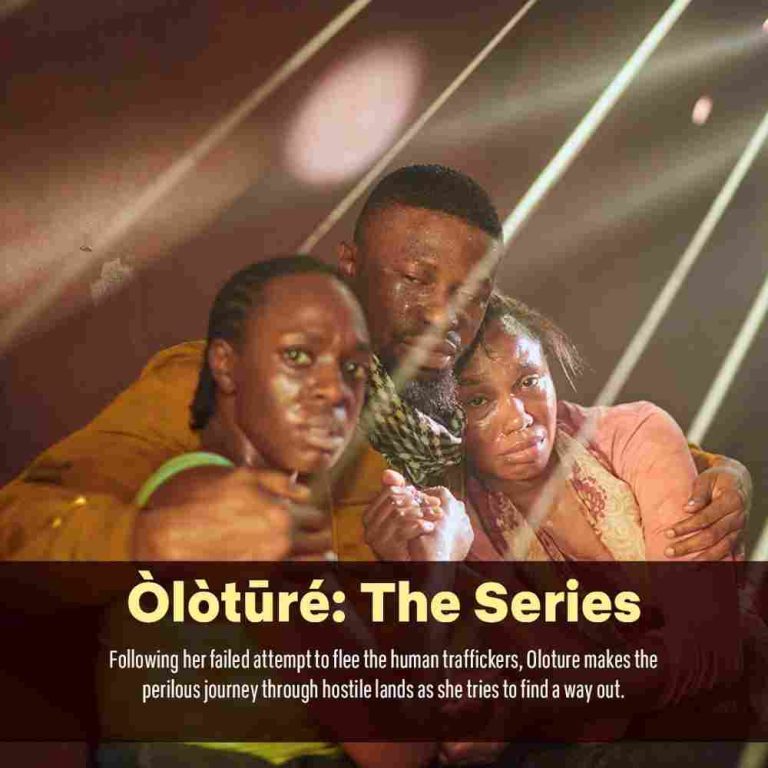 BEST NIGERIAN MOVIES ON NETFLIX 2023 visual data 7