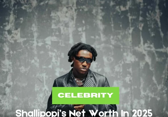 Shallipopi net worth