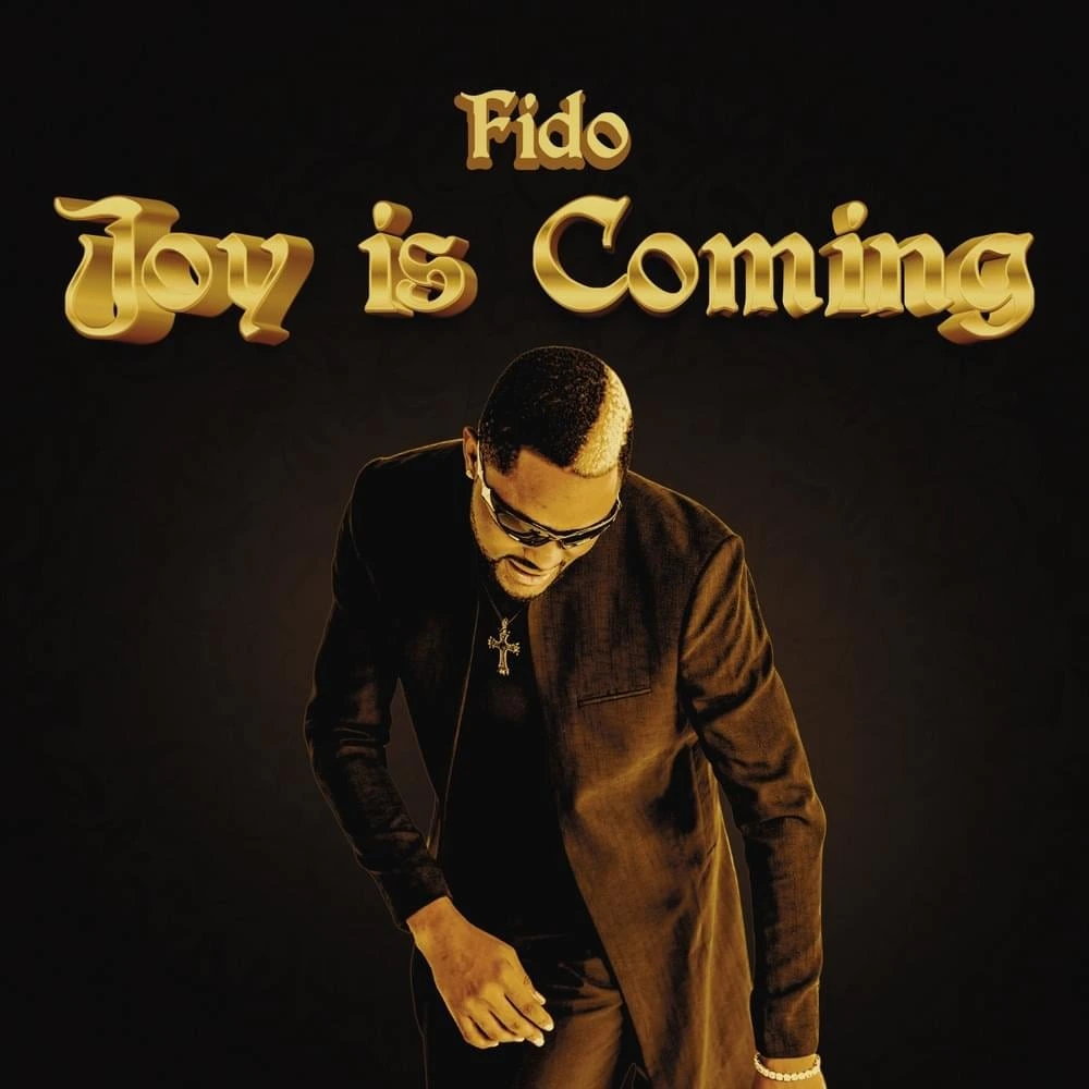 fido joy is coming remix lyrics